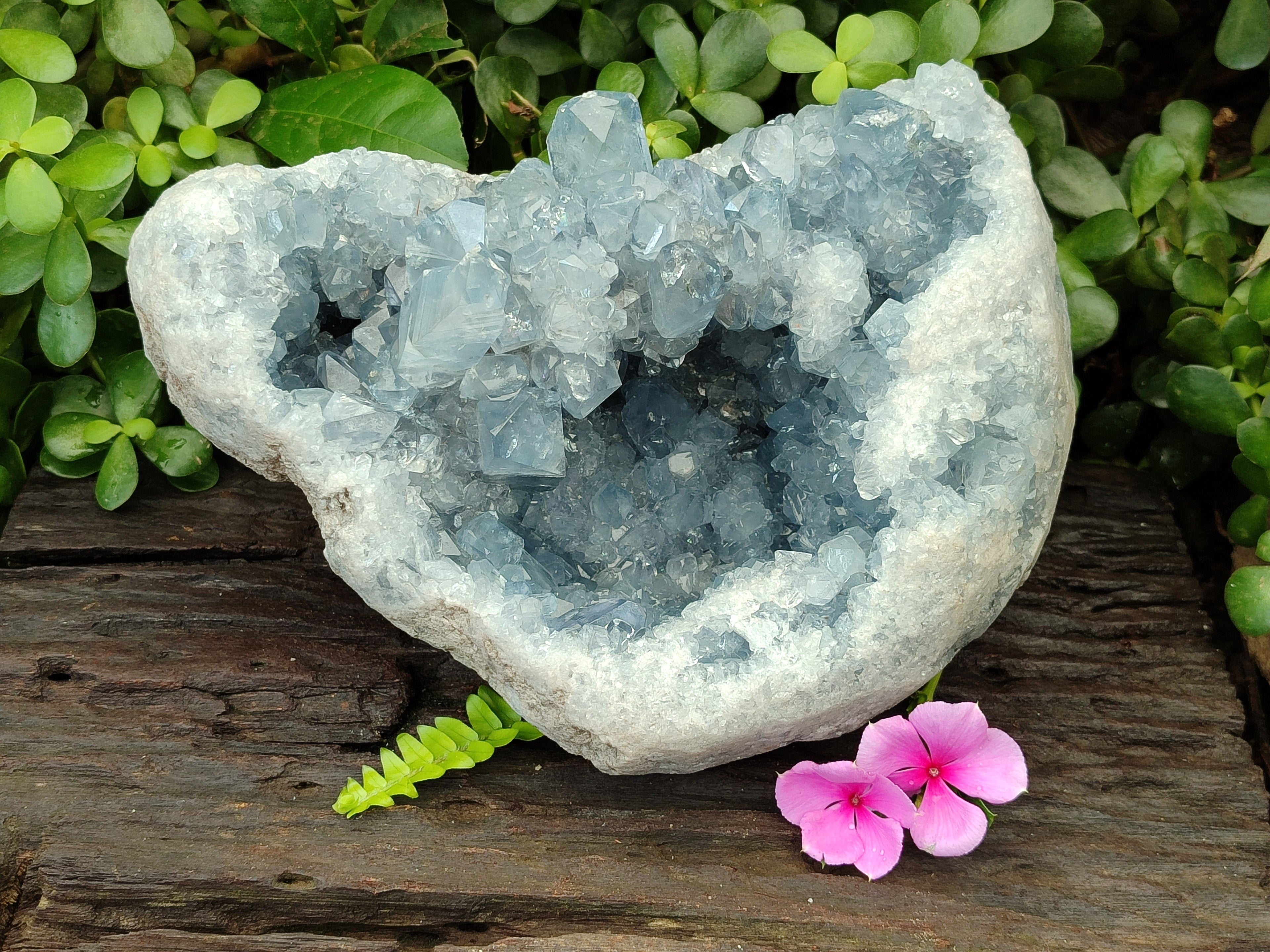 Natural Celestite Geode Specimen x 1 From Sakoany, Madagascar - Toprock Gemstones and Minerals 