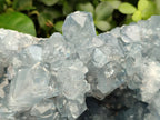 Natural Celestite Geode Specimen x 1 From Sakoany, Madagascar - Toprock Gemstones and Minerals 