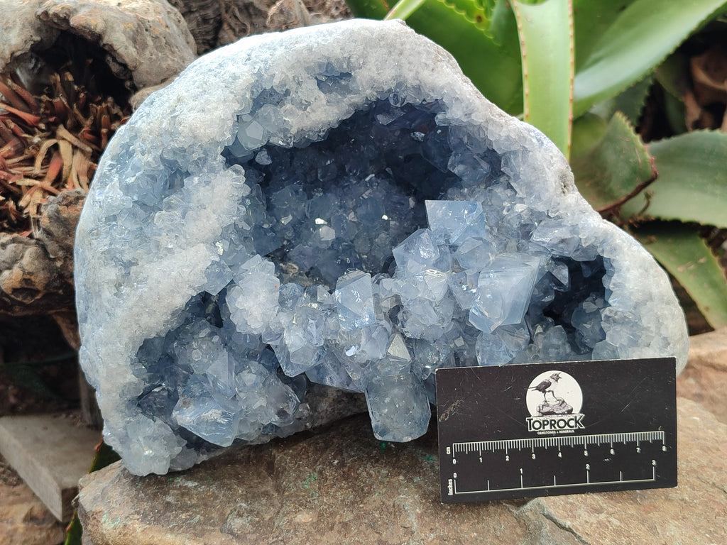 Natural Celestite Geode Specimen x 1 From Sakoany, Madagascar - Toprock Gemstones and Minerals 