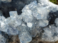 Natural Celestite Geode Specimen x 1 From Sakoany, Madagascar - Toprock Gemstones and Minerals 