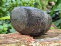 Polished Pharaoh Stone Palm Stones x 6 From Zimbabwe - Toprock Gemstones and Minerals 
