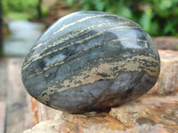 Polished Pharaoh Stone Palm Stones x 6 From Zimbabwe - Toprock Gemstones and Minerals 