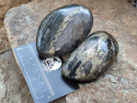 Polished Pharaoh Stone Palm Stones x 6 From Zimbabwe - Toprock Gemstones and Minerals 