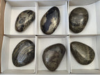 Polished Pharaoh Stone Palm Stones x 6 From Zimbabwe - Toprock Gemstones and Minerals 