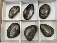 Polished Pharaoh Stone Palm Stones x 6 From Zimbabwe - Toprock Gemstones and Minerals 
