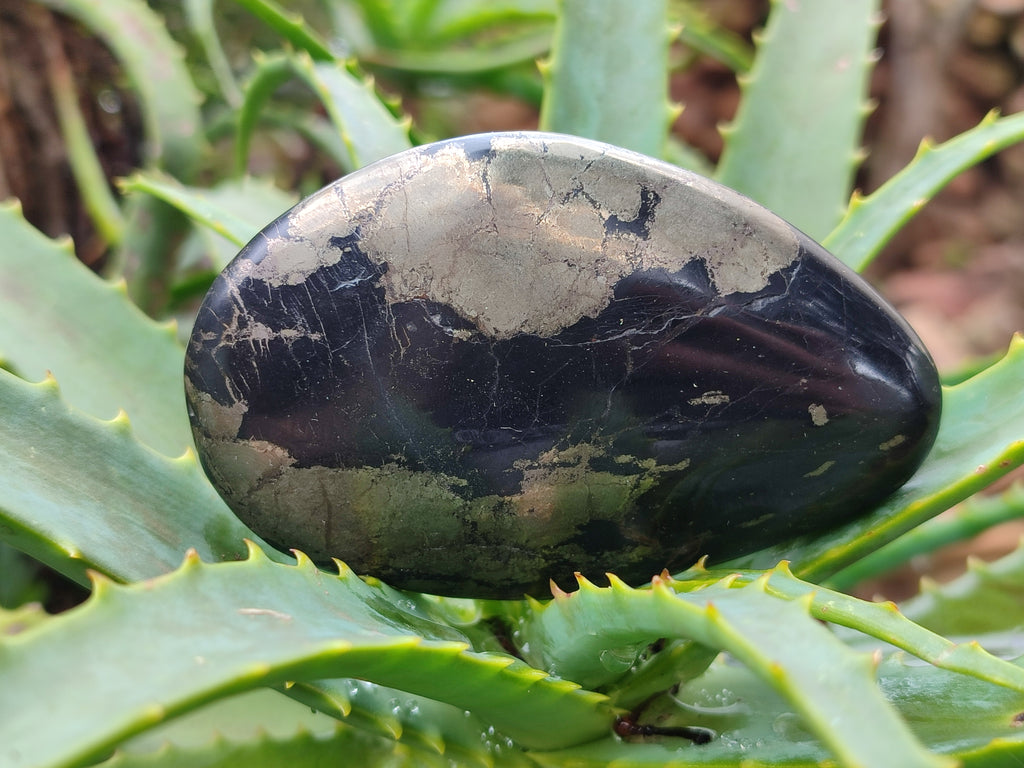 Polished Pharaoh Stone Palm Stones x 6 From Zimbabwe - Toprock Gemstones and Minerals 