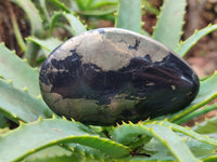 Polished Pharaoh Stone Palm Stones x 6 From Zimbabwe - Toprock Gemstones and Minerals 