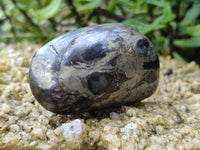 Polished Pharaoh Stone Palm Stones x 6 From Zimbabwe - Toprock Gemstones and Minerals 