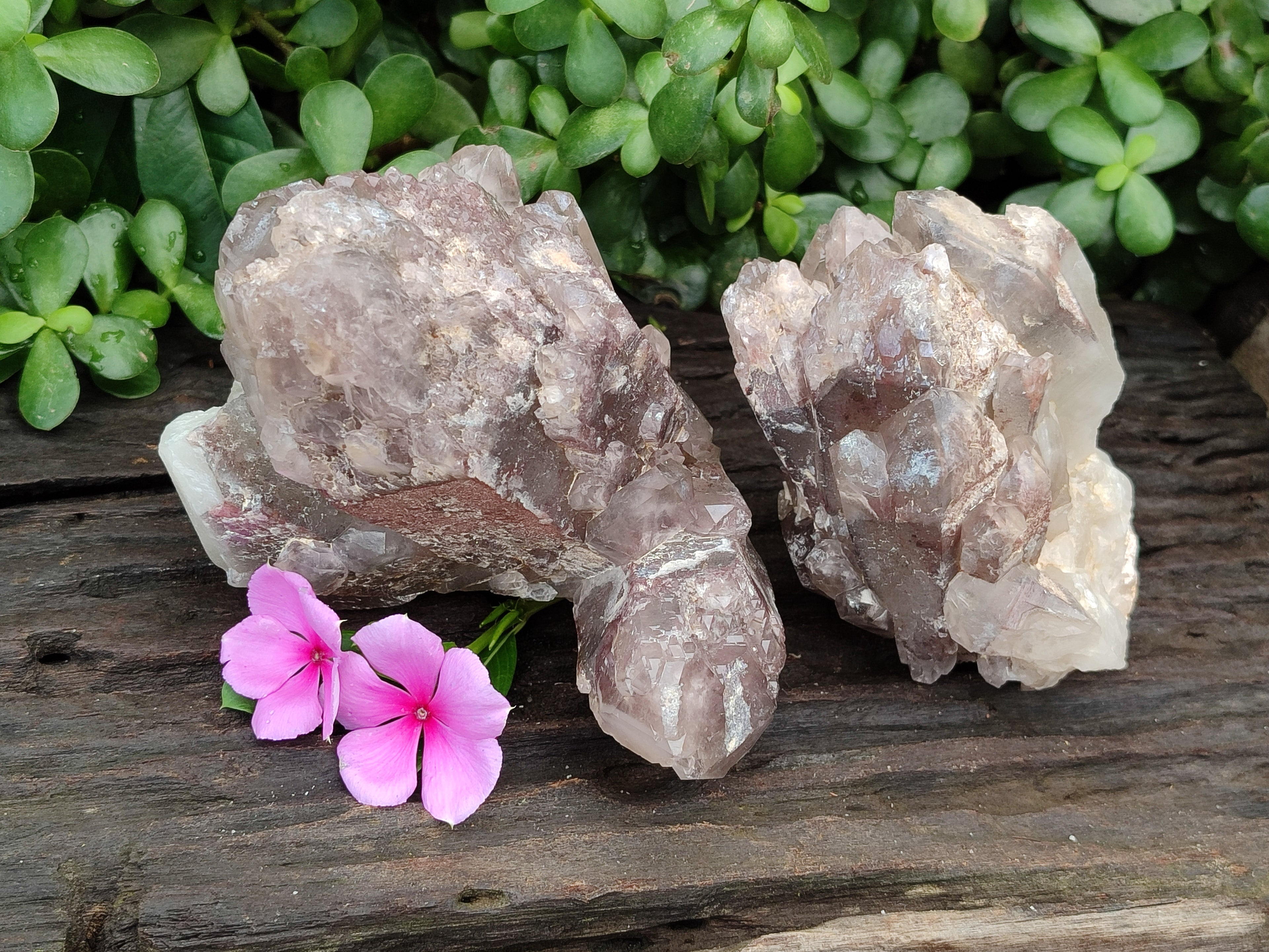 Natural Red Hematoid Quartz Clusters x 2 From Karoi, Zimbabwe - Toprock Gemstones and Minerals 