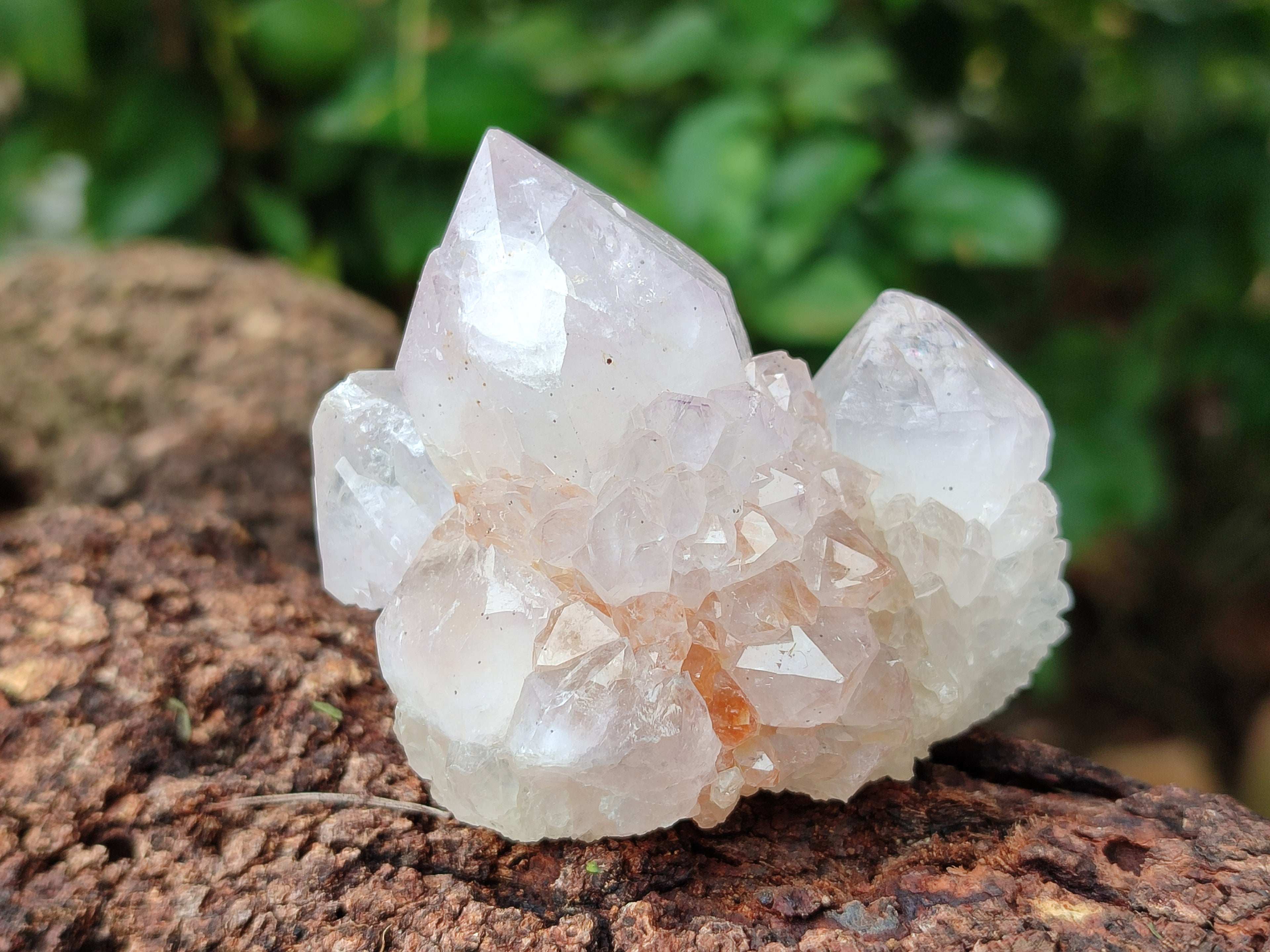 Natural Amethyst Spirit Quartz Clusters x 12 From Boekenhouthoek, South Africa - Toprock Gemstones and Minerals 
