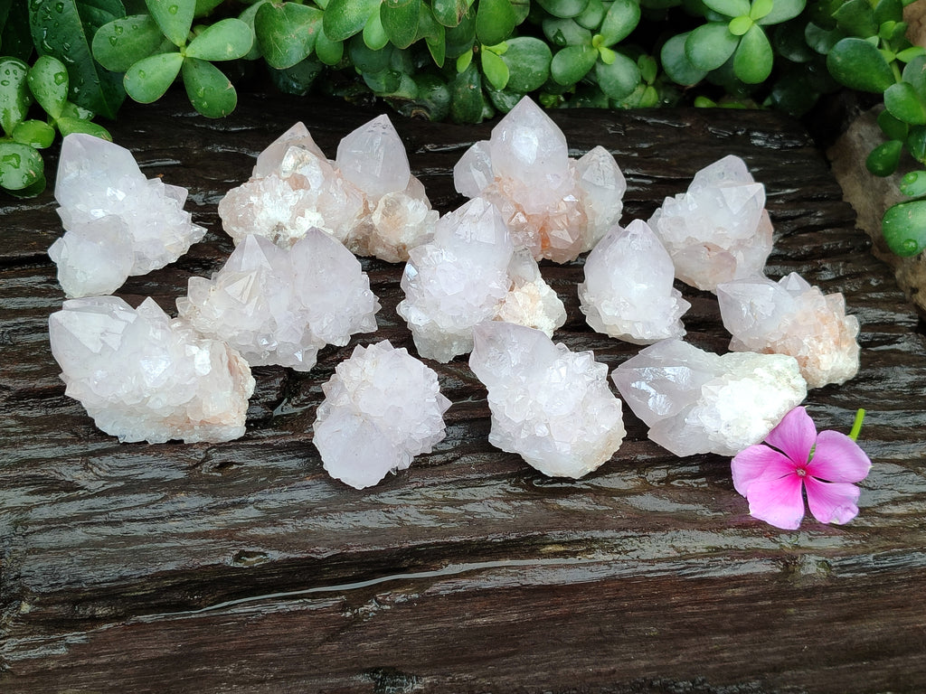 Natural Amethyst Spirit Quartz Clusters x 12 From Boekenhouthoek, South Africa - Toprock Gemstones and Minerals 