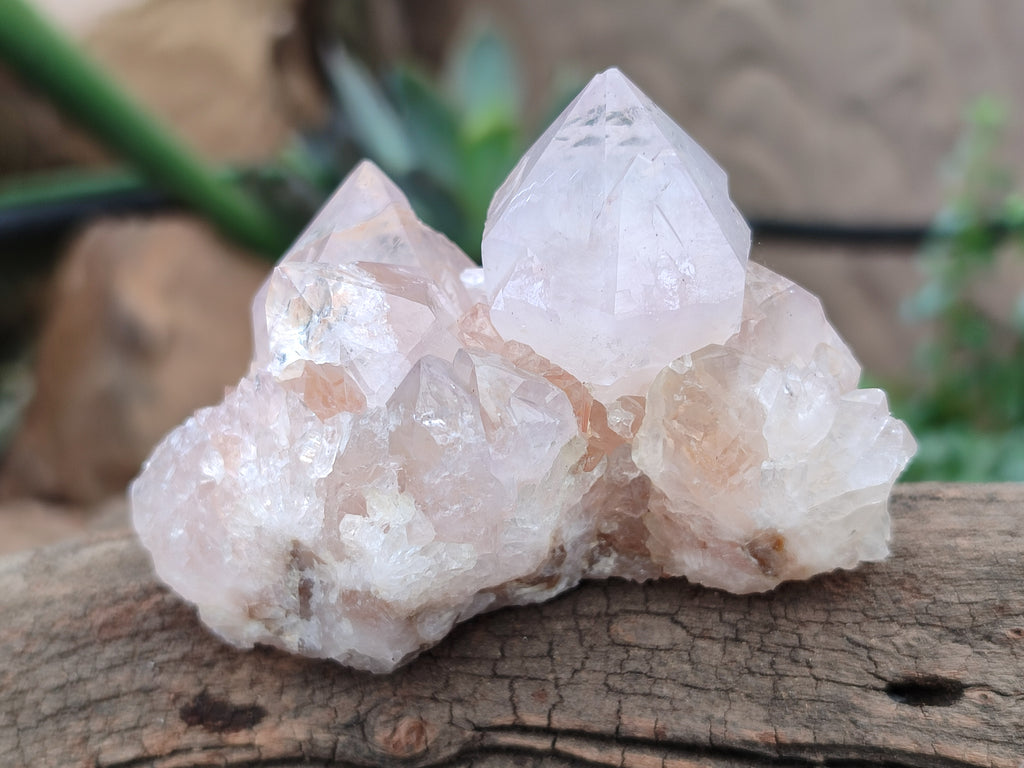 Natural Amethyst Spirit Quartz Clusters x 12 From Boekenhouthoek, South Africa - Toprock Gemstones and Minerals 