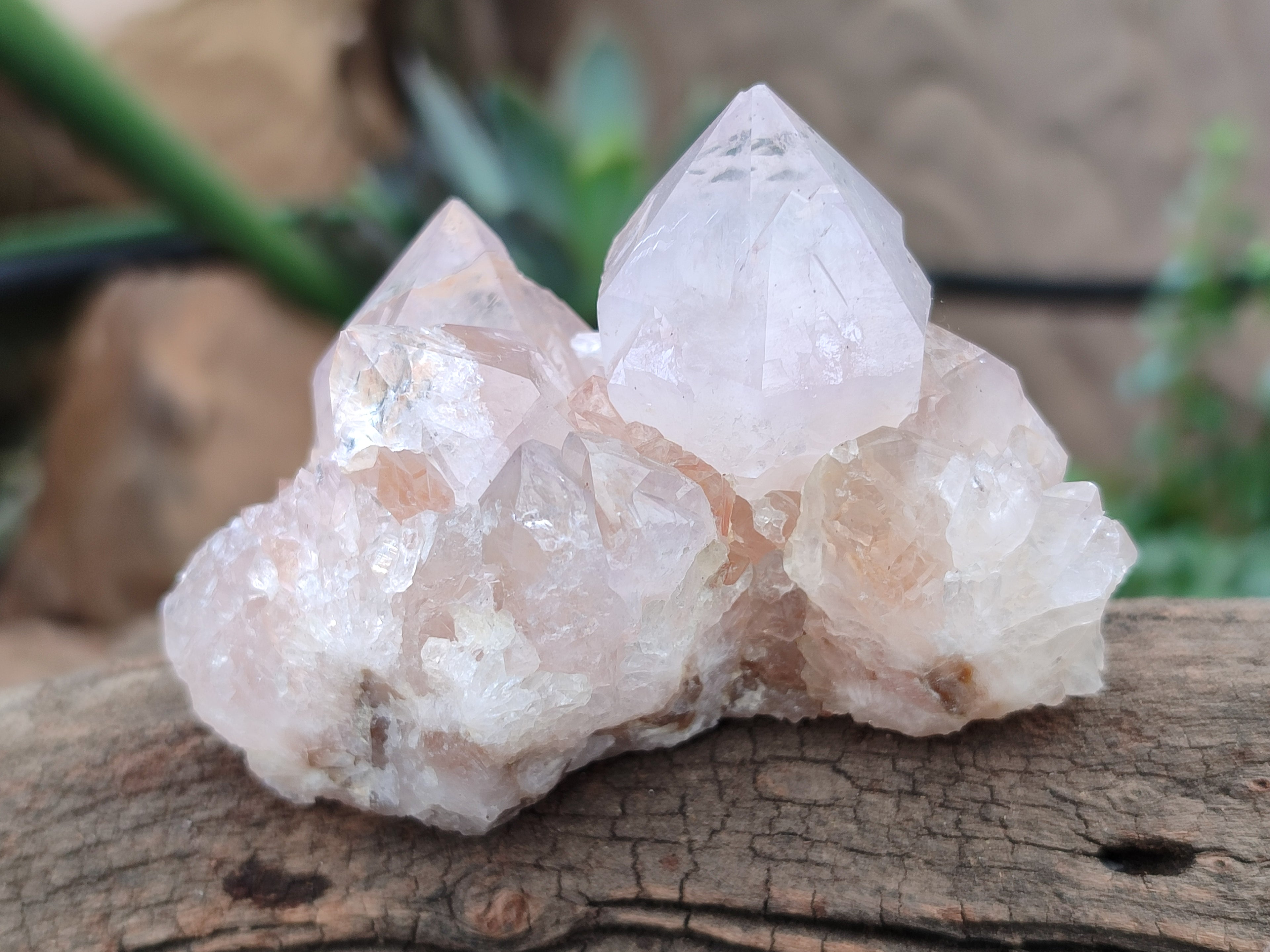 Natural Amethyst Spirit Quartz Clusters x 12 From Boekenhouthoek, South Africa - Toprock Gemstones and Minerals 