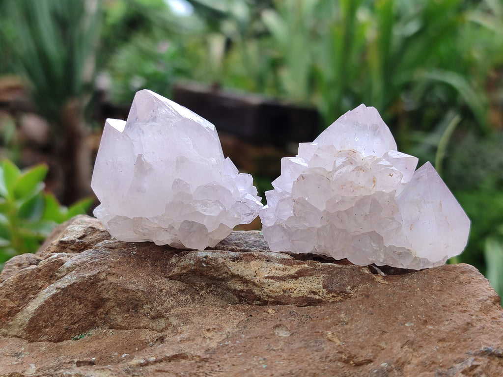Natural Amethyst Spirit Quartz Clusters x 12 From Boekenhouthoek, South Africa - Toprock Gemstones and Minerals 