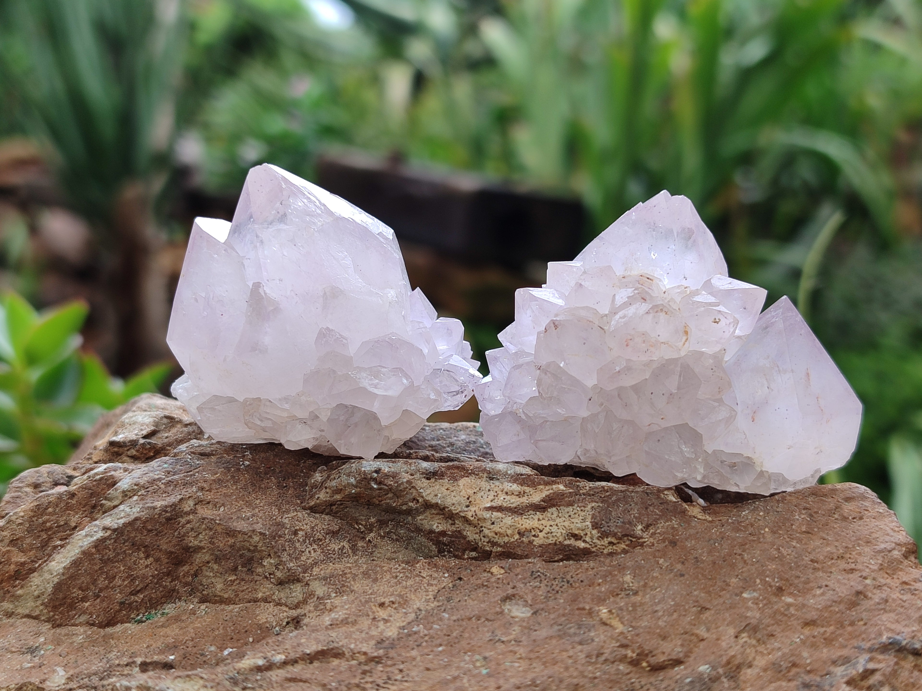 Natural Amethyst Spirit Quartz Clusters x 12 From Boekenhouthoek, South Africa - Toprock Gemstones and Minerals 