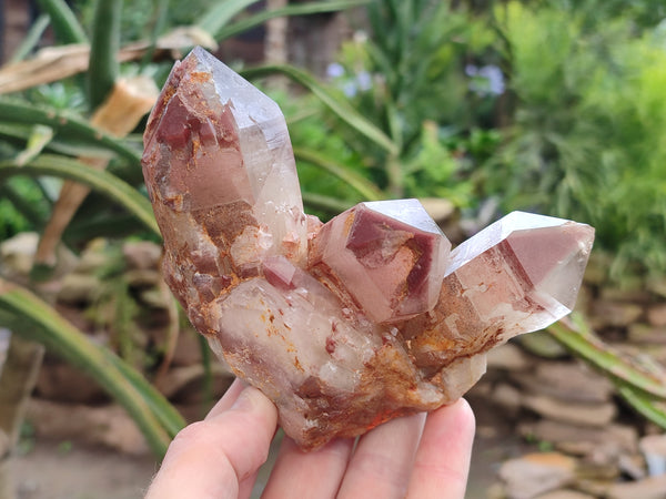 Natural Red Hematoid Quartz Clusters x 4 From Karoi, Zimbabwe