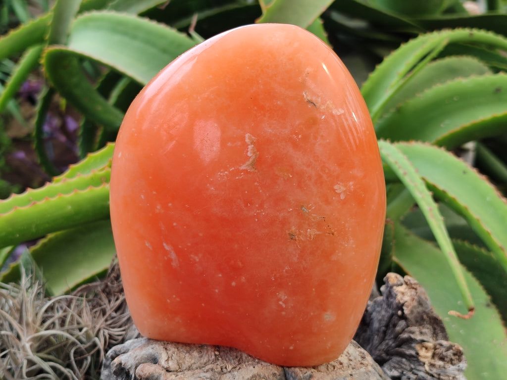 Polished Orange Twist Calcite Standing Free Form x 1 From Madagascar - Toprock Gemstones and Minerals 