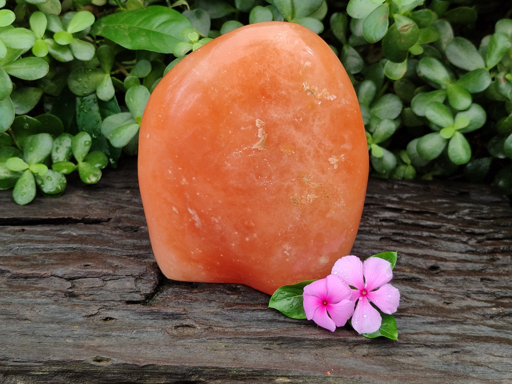 Polished Orange Twist Calcite Standing Free Form x 1 From Madagascar - Toprock Gemstones and Minerals 