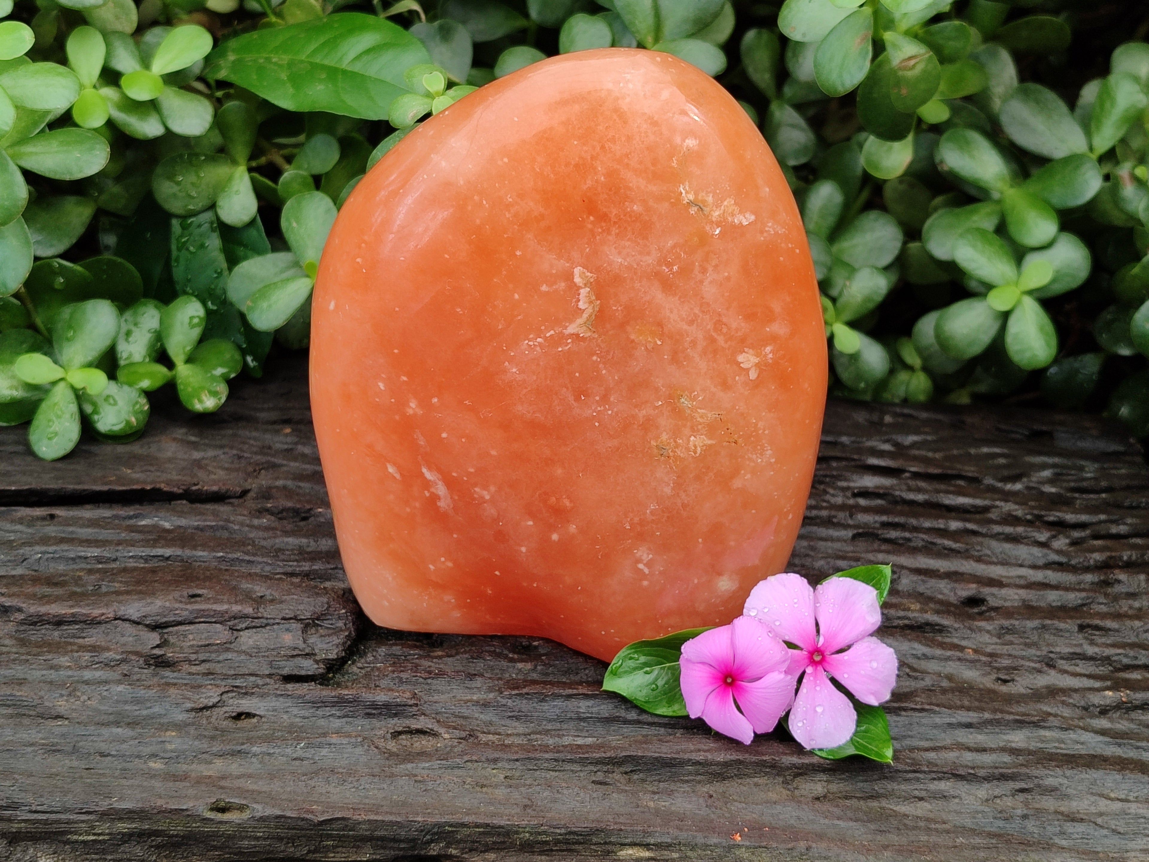 Polished Orange Twist Calcite Standing Free Form x 1 From Madagascar - Toprock Gemstones and Minerals 