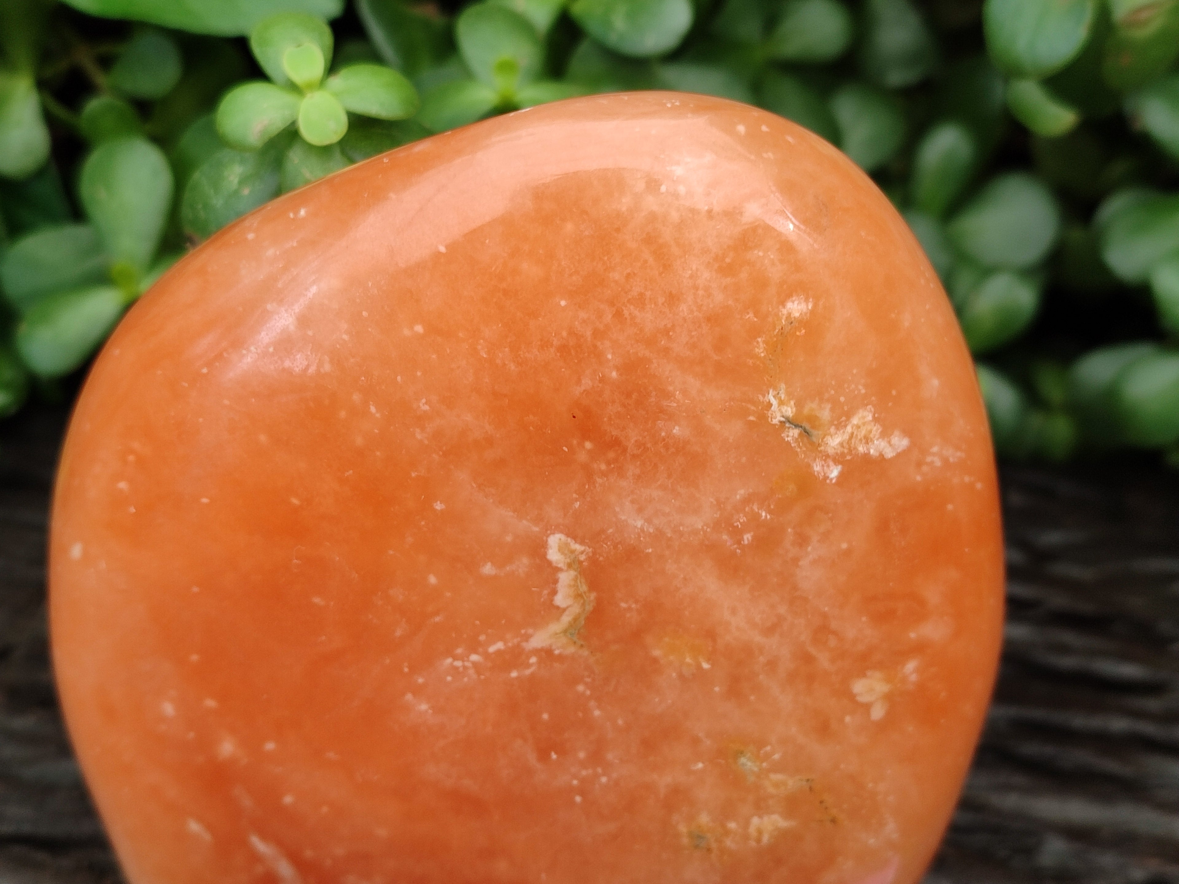 Polished Orange Twist Calcite Standing Free Form x 1 From Madagascar - Toprock Gemstones and Minerals 