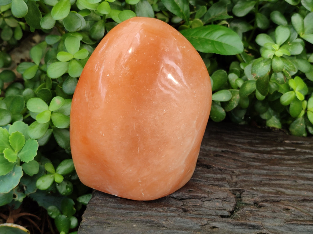 Polished Orange Twist Calcite Standing Free Form x 1 From Madagascar - Toprock Gemstones and Minerals 