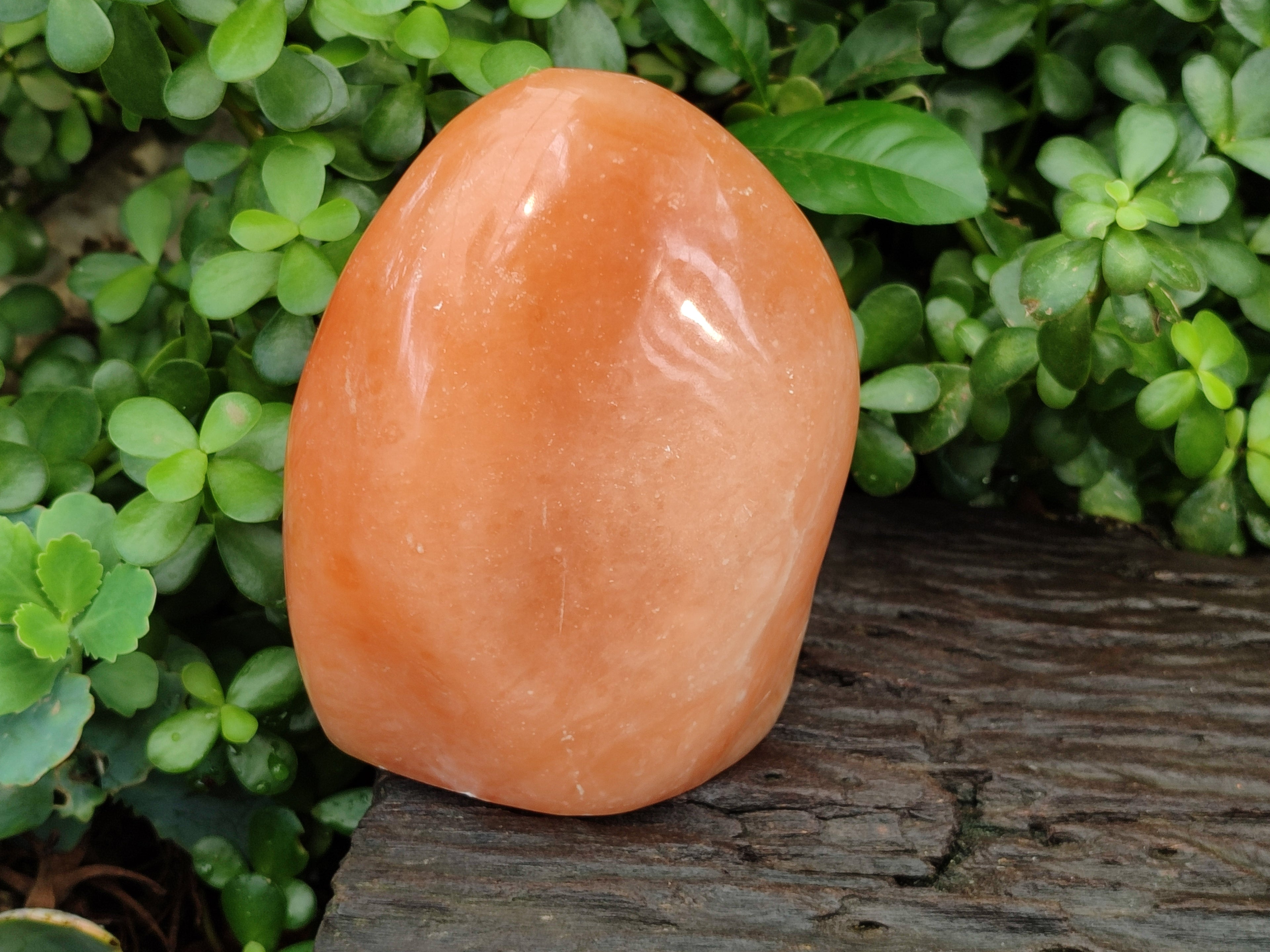 Polished Orange Twist Calcite Standing Free Form x 1 From Madagascar - Toprock Gemstones and Minerals 