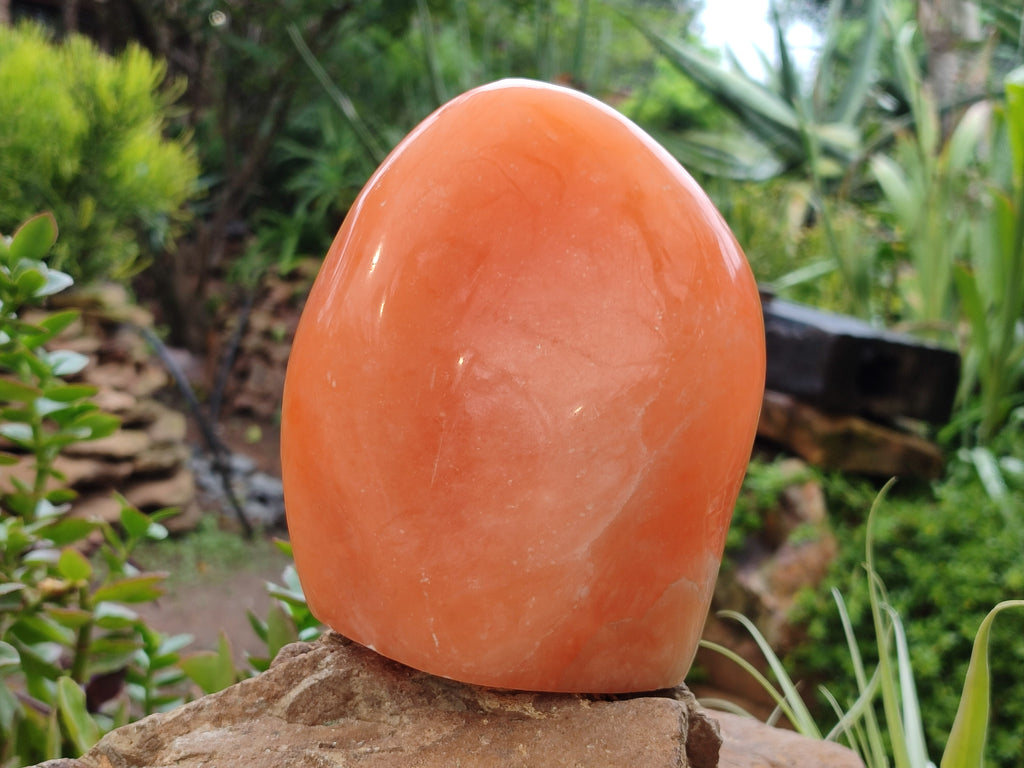 Polished Orange Twist Calcite Standing Free Form x 1 From Madagascar - Toprock Gemstones and Minerals 