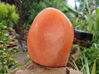 Polished Orange Twist Calcite Standing Free Form x 1 From Madagascar - Toprock Gemstones and Minerals 