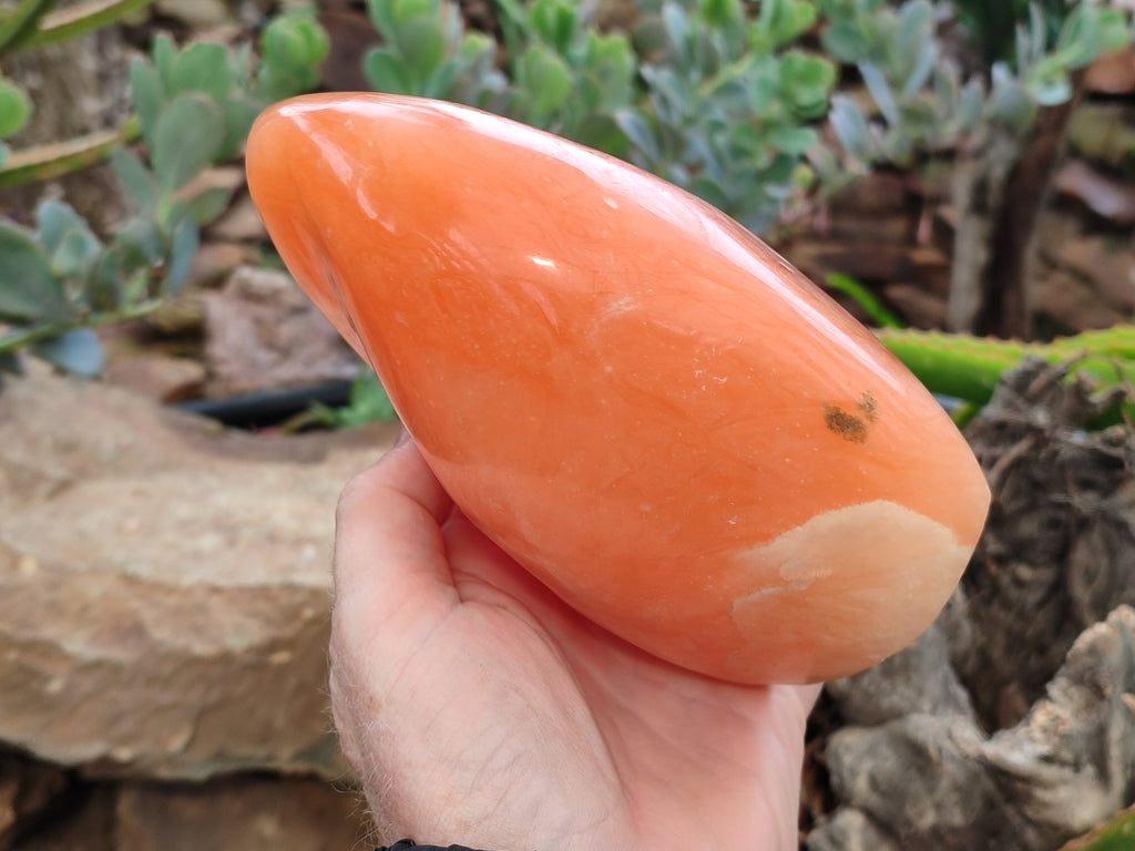 Polished Orange Twist Calcite Standing Free Form x 1 From Madagascar - Toprock Gemstones and Minerals 