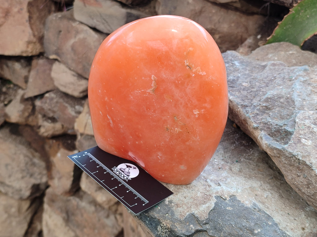 Polished Orange Twist Calcite Standing Free Form x 1 From Madagascar - Toprock Gemstones and Minerals 