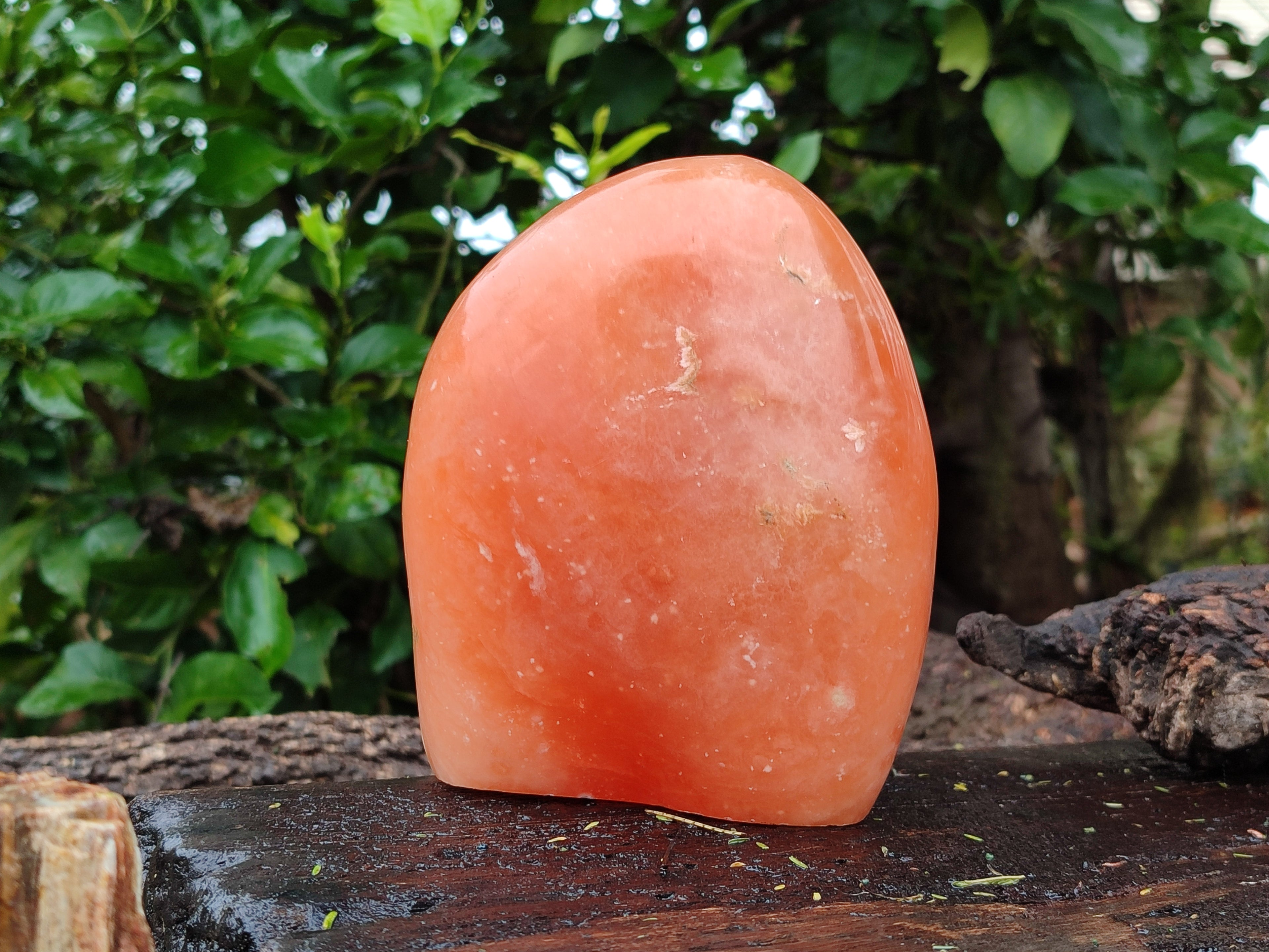 Polished Orange Twist Calcite Standing Free Form x 1 From Madagascar - Toprock Gemstones and Minerals 