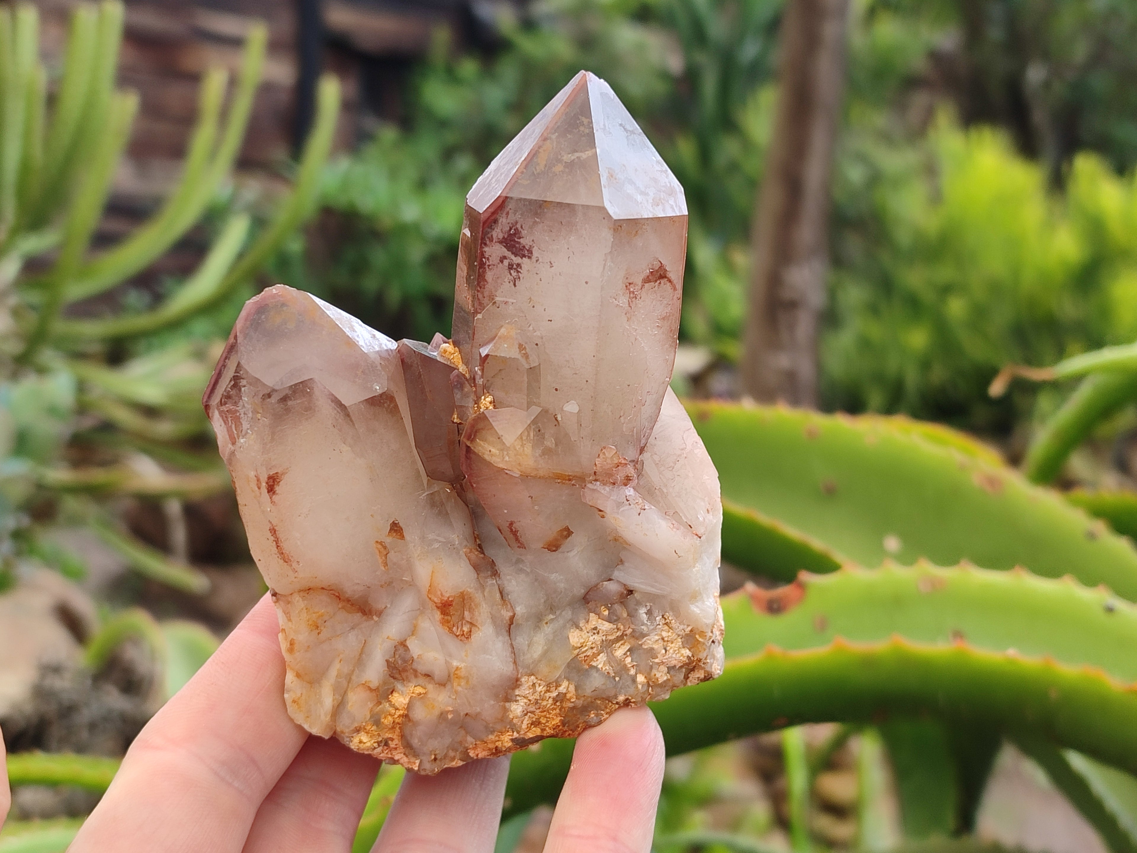 Natural Red Hematoid Quartz Clusters x 6 From Karoi, Zimbabwe - Toprock Gemstones and Minerals 
