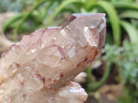 Natural Red Hematoid Quartz Clusters x 6 From Karoi, Zimbabwe - Toprock Gemstones and Minerals 