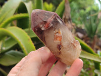 Natural Red Hematoid Quartz Clusters x 6 From Karoi, Zimbabwe - Toprock Gemstones and Minerals 