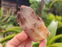 Natural Red Hematoid Quartz Clusters x 6 From Karoi, Zimbabwe - Toprock Gemstones and Minerals 