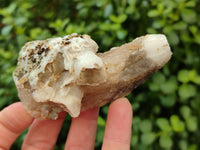 Natural Drusy Quartz Coated Calcite Pseudomorph Specimens x 12 From Alberts Mountain, Lesotho - Toprock Gemstones and Minerals 