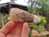 Natural Drusy Quartz Coated Calcite Pseudomorph Specimens x 12 From Alberts Mountain, Lesotho - Toprock Gemstones and Minerals 