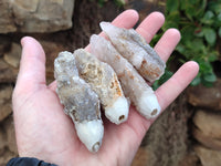 Natural Drusy Quartz Coated Calcite Pseudomorph Specimens x 12 From Alberts Mountain, Lesotho - Toprock Gemstones and Minerals 