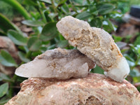 Natural Drusy Quartz Coated Calcite Pseudomorph Specimens x 12 From Alberts Mountain, Lesotho - Toprock Gemstones and Minerals 
