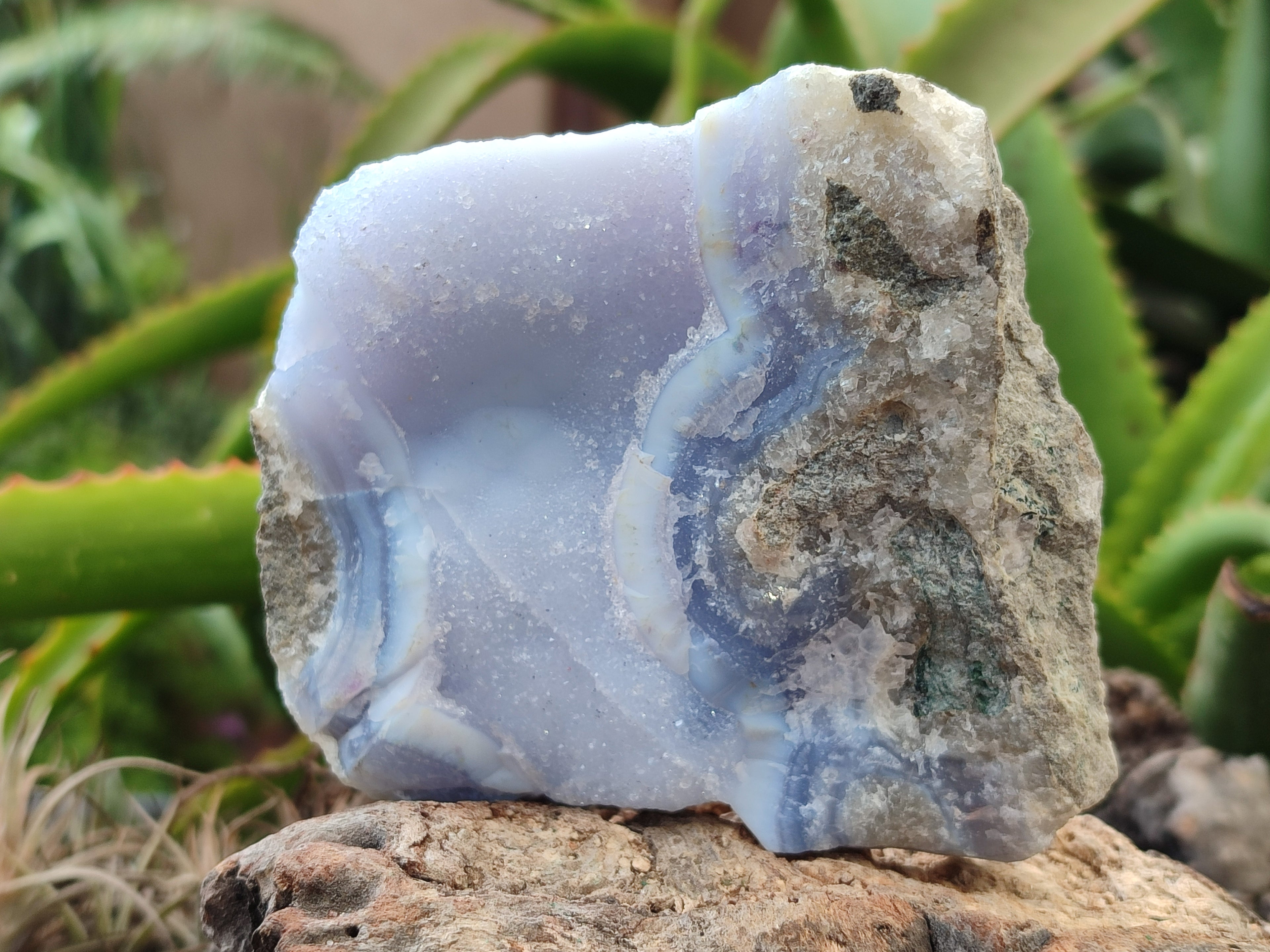 Natural Blue Lace Agate Geode Specimens x 9 From Nsanje, Malawi - Toprock Gemstones and Minerals 
