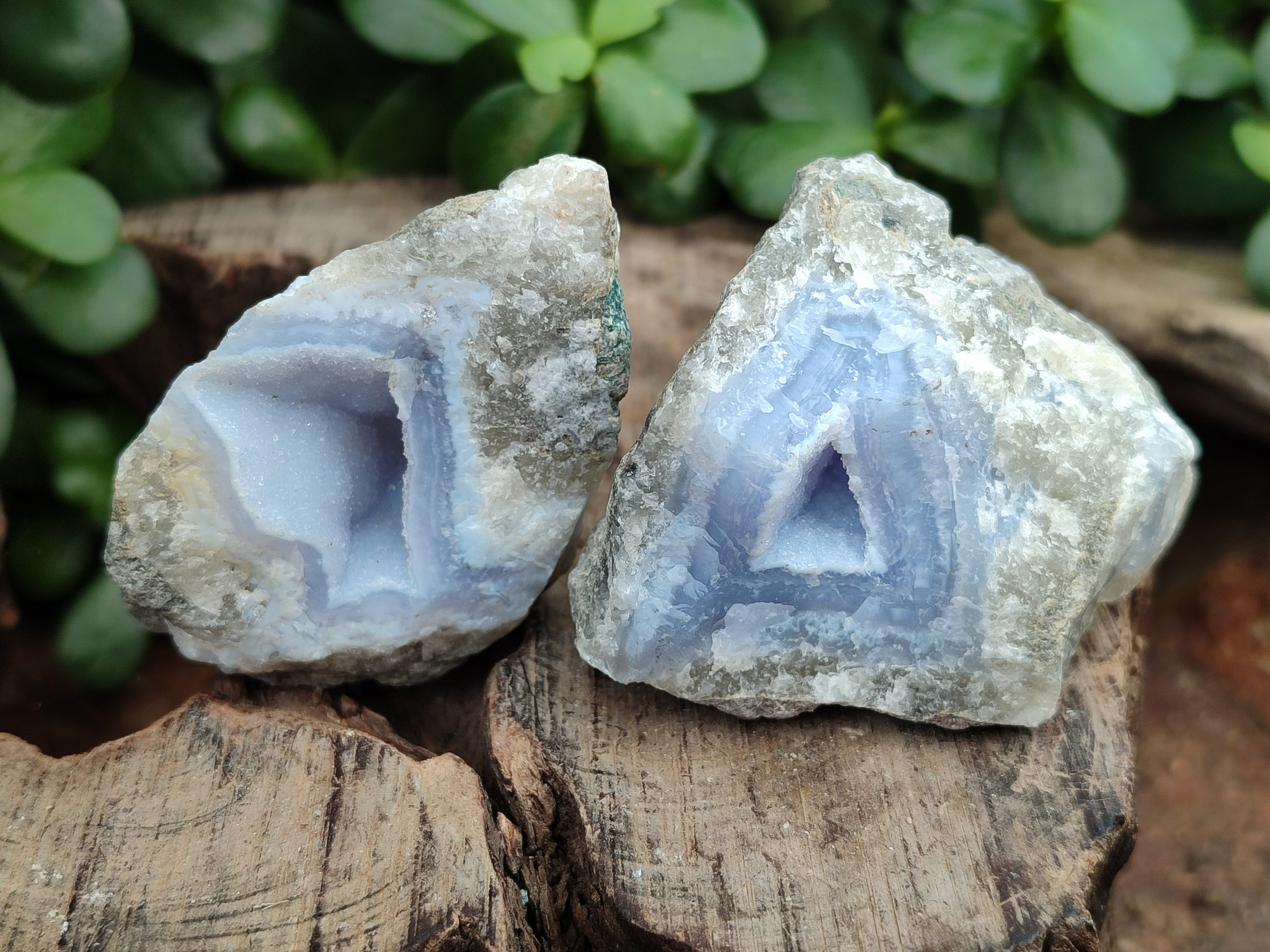 Natural Blue Lace Agate Geode Specimens x 9 From Nsanje, Malawi - Toprock Gemstones and Minerals 