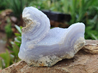 Natural Blue Lace Agate Geode Specimens x 9 From Nsanje, Malawi - Toprock Gemstones and Minerals 