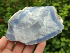 Natural Blue Lace Agate Geode Specimens x 9 From Nsanje, Malawi - Toprock Gemstones and Minerals 