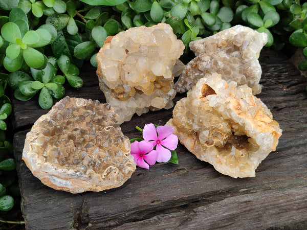 Natural Limonite Quartz Clusters x 4 From Solwezi, Zambia - Toprock Gemstones and Minerals 