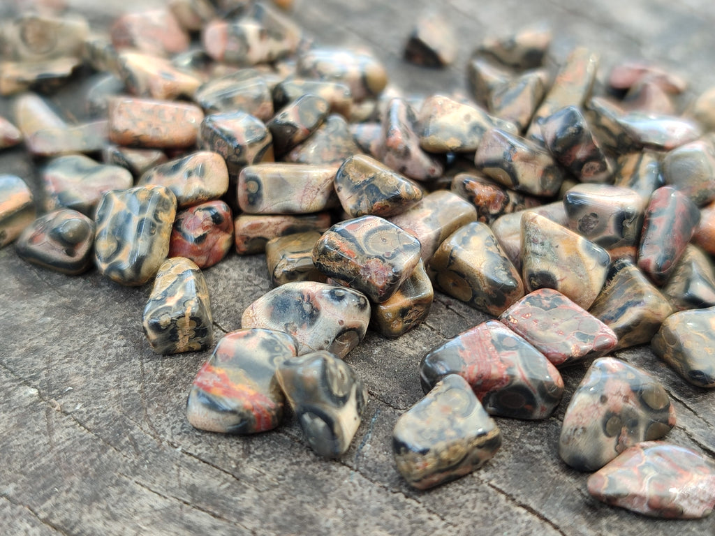 Polished Snakeskin Jasper Chips - sold per kg - From Australia - Toprock Gemstones and Minerals 