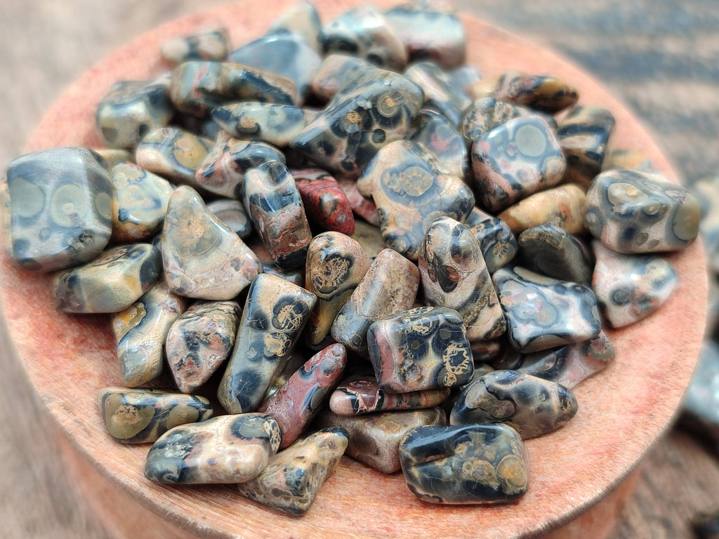 Polished Snakeskin Jasper Chips - sold per kg - From Australia - Toprock Gemstones and Minerals 