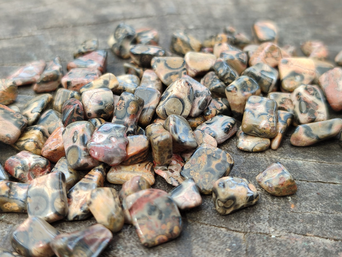 Polished Snakeskin Jasper Chips - sold per kg - From Australia - Toprock Gemstones and Minerals 