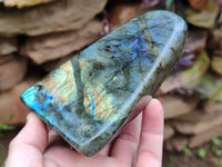 Polished Labradorite Standing Free Forms x 3 From Tulear, Madagascar - Toprock Gemstones and Minerals 