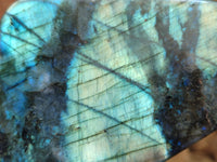 Polished Labradorite Standing Free Forms x 3 From Tulear, Madagascar - Toprock Gemstones and Minerals 