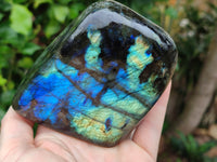 Polished Labradorite Standing Free Forms x 3 From Tulear, Madagascar - Toprock Gemstones and Minerals 